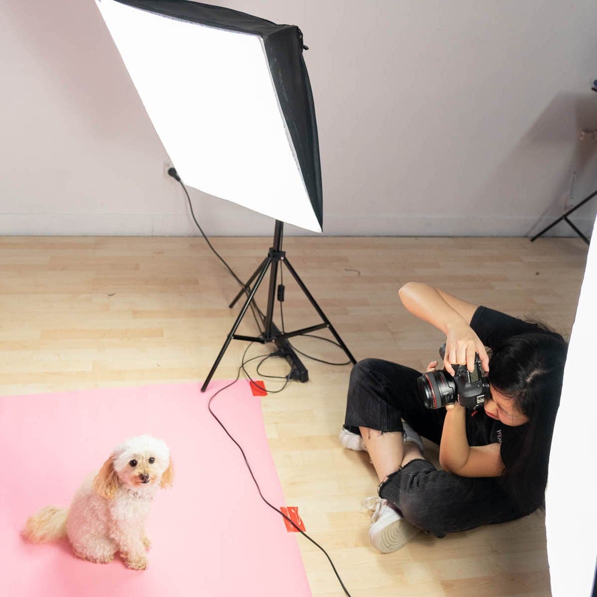 Cherry Blossom Pink Paper Roll Photography Studio Backdrop Half Width (1.36 x 10M)